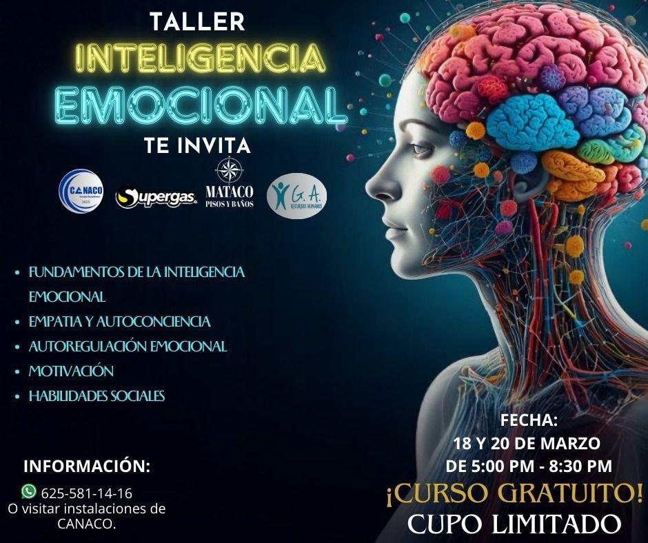 WhatsApp Image 2025-12-11 at 10.58.13